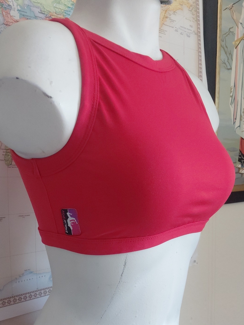 Bad Kitty High Neck Crop Top